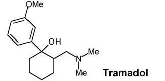 tramadol hydrochloride manufacturers hyderabad india, tramadol hydrochloride suppliers hyderabad india, tramadol hydrochloride exporters hyderabad india