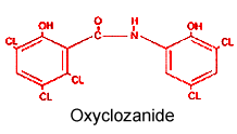 oxyclozanide manufacturers hyderabad india, oxyclozanide suppliers hyderabad india, oxyclozanide exporters hyderabad india